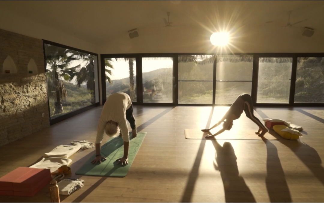 ASANA CLASS FOR AFTERNOONS & EVENINGS – 55 MINUTES