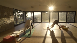 ASANA CLASS FOR AFTERNOONS & EVENINGS – 55 MINUTES